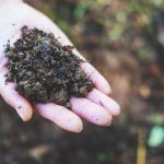 Renewable Energy in Meat Production: Sustainable Practices for Halal Farms