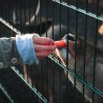 How We Ensure Freshness in Every Cut